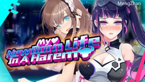 PC/SLG/重启的NTR后宫生活~MY New Born Life In A Harem~ Ver1.5/STEAM官方中文步兵版
