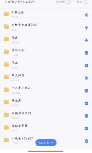 各种合集【2.5T】