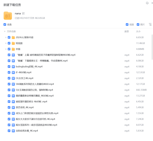 台北娜娜，4K全套86部 [1v+465G][磁力链接]