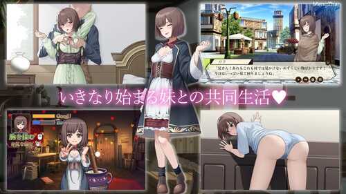 PC/SLG/药师兄妹的色情临床试验/挂载汉化