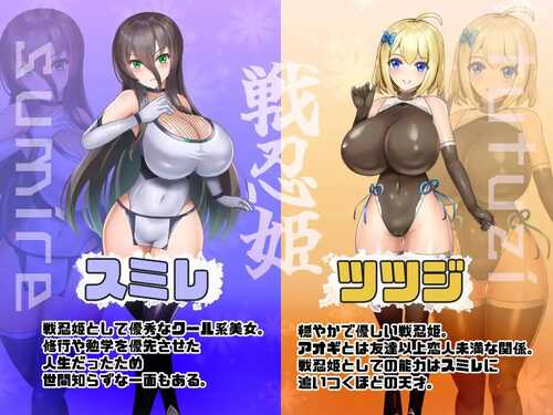 【SLG/AI汉化/PC】恶稼业对战忍姬 悪稼業対戦忍姫【1G】