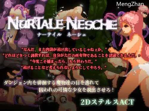 PC/ACT/纳泰尔·奈舍/v1.0.2.5