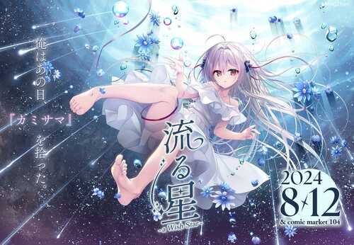 PC/ADV/#流星 -a wish star/汉化版