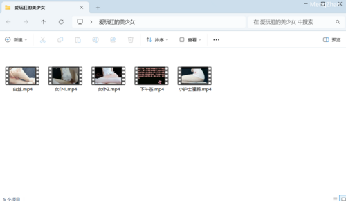 dirtyecho8 爱玩肛的美少女