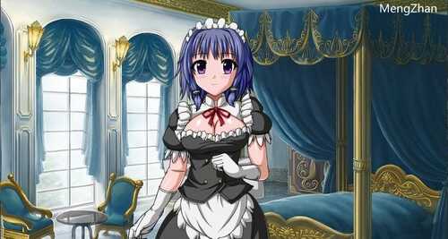 PC/SRPG/#巴吉尼亚战记/v2.5 官方中文版+存档