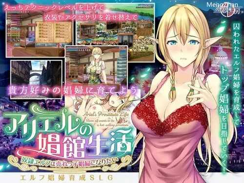 PC/【经营SLG/卖春援交/妖精】艾莉尔的风月人生（アリエルの娼館生活）V1.02-(STEAM官中+DLC)