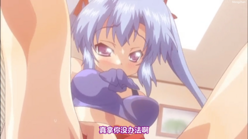 老番 妹ぱらだいす！两集全