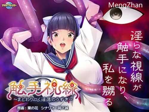 PC/ADV/ 触手视线～纠缠的淫欲颤动/汉化版