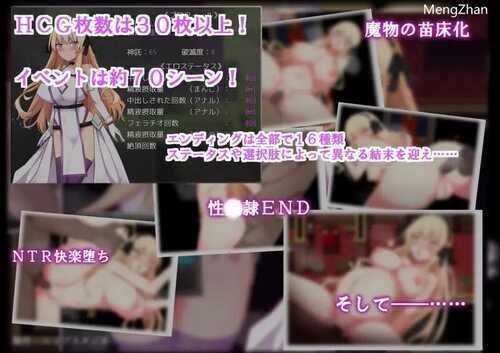PC/【回合RPG/被NTR/异种X】NTR 圣女骑士蕾雅-击败魔王之后-(NTR聖女騎士レイア-魔王を倒したそのあとで-)V1.0 I汉化-第5张图片-萌站 PC/【回合RPG/被NTR/异种X】NTR 圣女骑士蕾雅-击败魔王之后-(NTR聖女騎士レイア-魔王を倒したそのあとで-)V1.0 I汉化-第5张图片-萌站