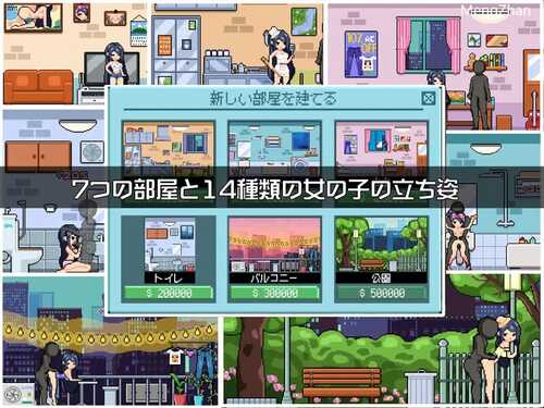 DL11月新作【养成SLG/日常生活/像素全动态】与姐姐同住（姉と住む）V1.0 机翻汉化【400MB】