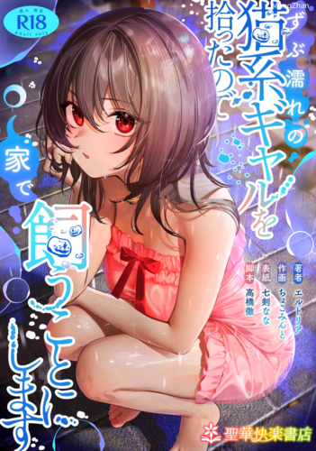[聖華快楽書店 (エルトリア，ちょこみんと，七剣なな，高橋徹)] ずぶ濡れの猫系ギャルを拾ったので家で飼うことにします