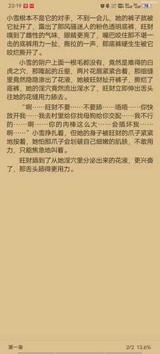被狗压着后入狂日着花液横流的花穴纯肉 作者：浪声一阵阵