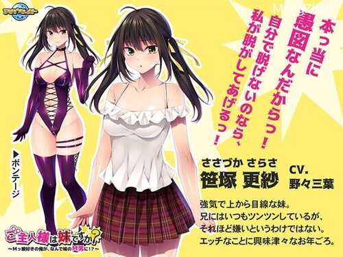 PC/ADV/ご主人様は妹ですか/汉化版