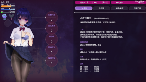 [RPG/新作/PC] 魔装影姫セレノクシア/暗影魔法少女莱诺希娅v0.12 GPT4ominiAI汉化