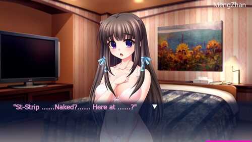 PC/ADV/欧派x欧派/v1.0 STEAM官方中文版