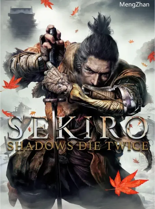 正经游戏：《只狼：影逝二度》（Sekiro：Shadows Die Twice）