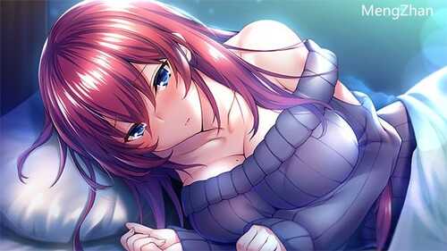 PC/ADV/年下彼女  汉化版