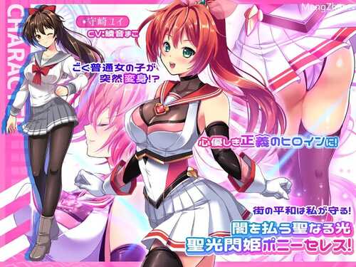 【回合RPG/变身少女/强X被NTR/PC】闪光圣姬马尾天星 V1.0 STEAM官中【 PC/2.20G】