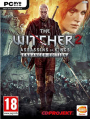 巫师2：刺客之王 免安装中文绿