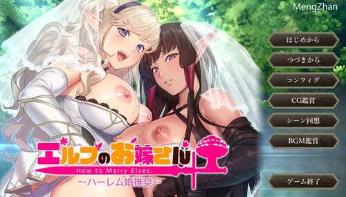 PC/ADV/如何与精灵结婚~后宫结婚推奖  #エルフのお嫁さん ～ハーレム婚推奨～  v1.0 汉化版+全CG版本+特典